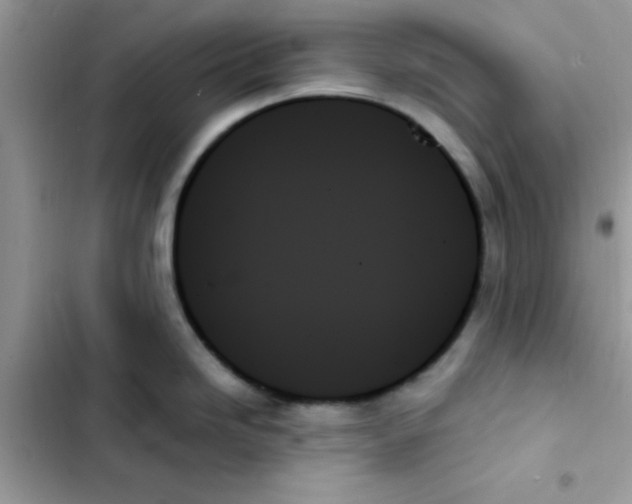 X0000103131246200809191933