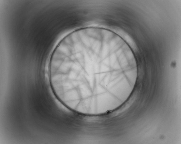 X0000103131247200809191933