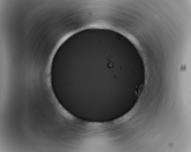 X0000103131248200809191933
