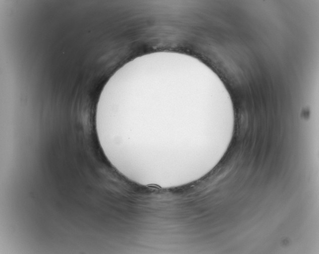 X0000103131250200809191933