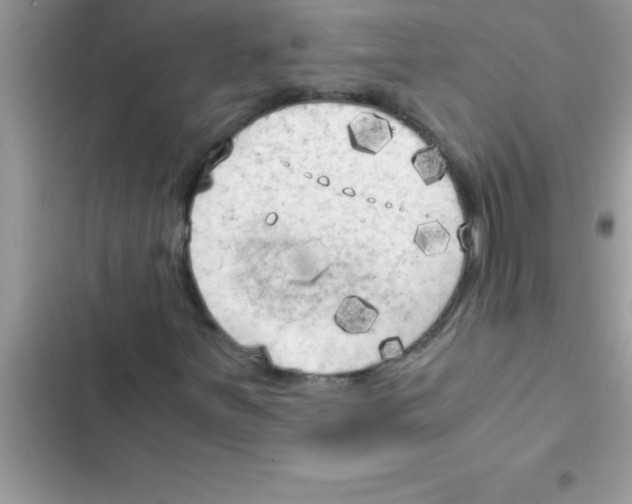 X0000103131251200809191933
