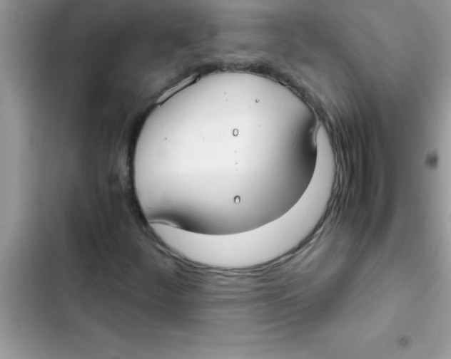 X0000103131252200809191933