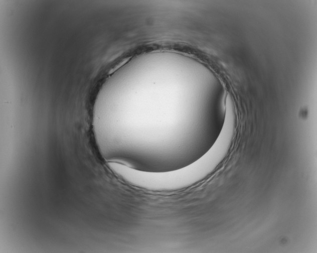 X0000103131253200809191933