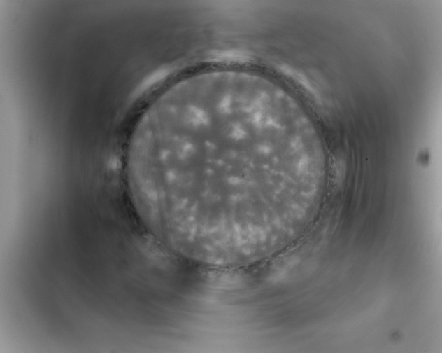 X0000103131254200809191933