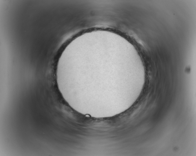 X0000103131256200809191933