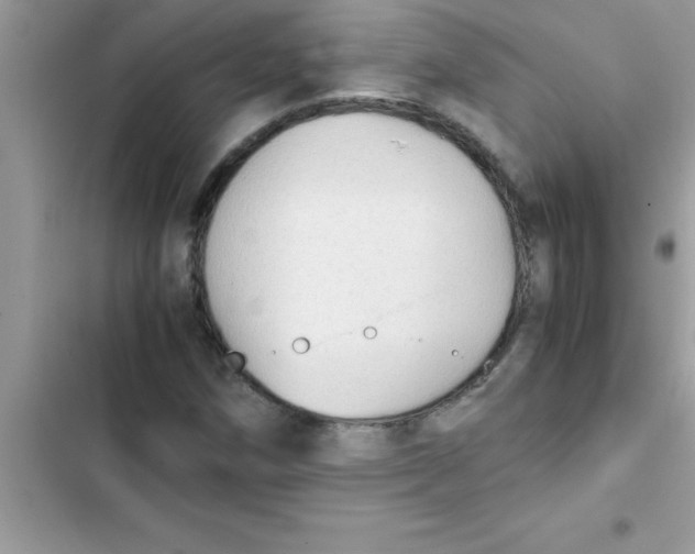 X0000103131258200809191933