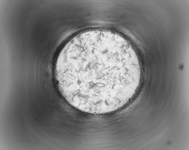X0000103131259200809191933