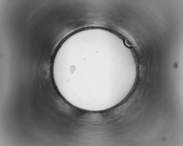 X0000103131260200809191933