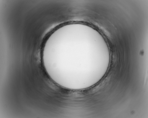 X0000103131262200809191933