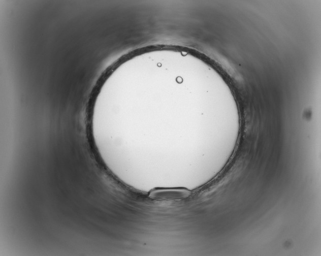 X0000103131264200809191932