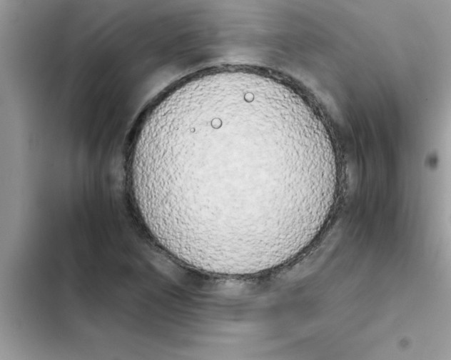 X0000103131266200809191932