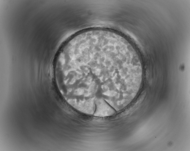 X0000103131267200809191932