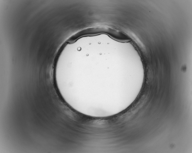X0000103131268200809191932
