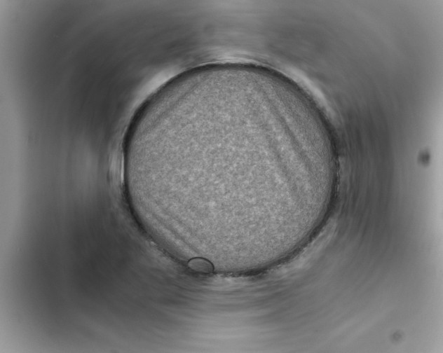 X0000103131269200809191932