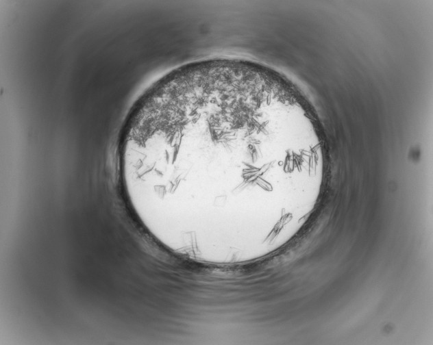 X0000103131271200809191932