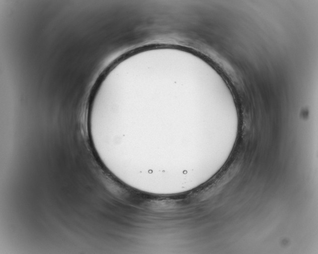 X0000103131272200809191932