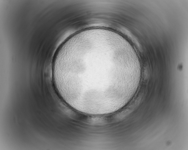 X0000103131274200809191932