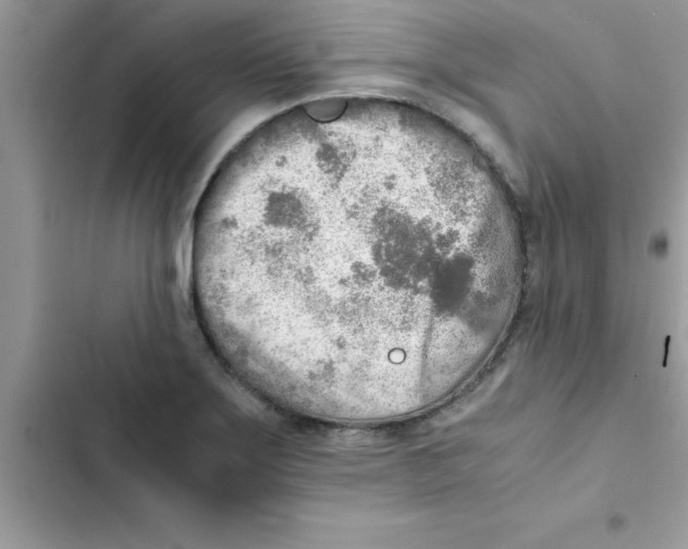 X0000103131275200809191932