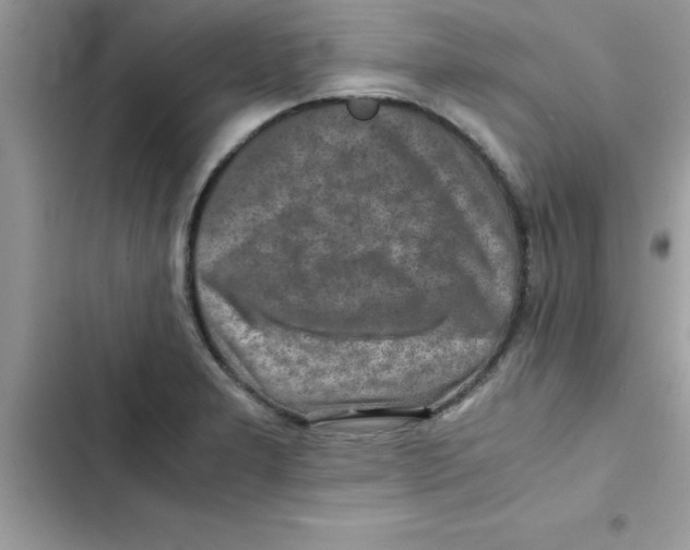 X0000103131277200809191932