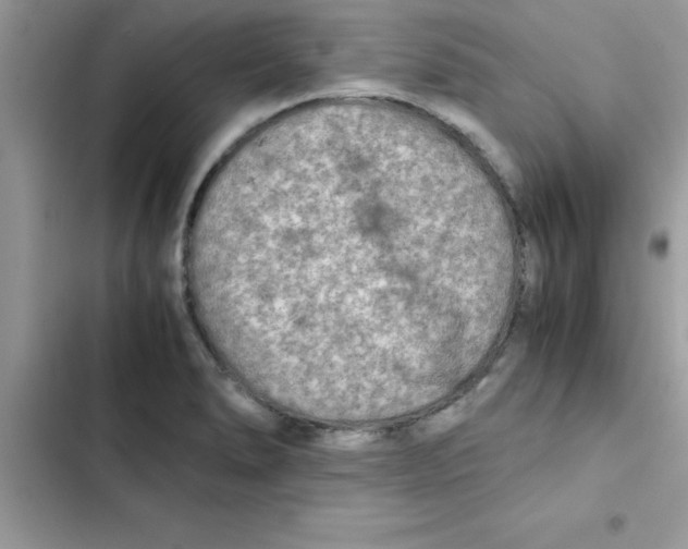X0000103131278200809191932