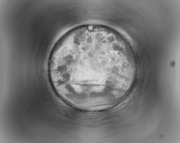 X0000103131279200809191932
