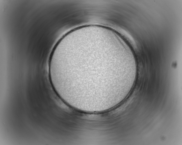 X0000103131280200809191932