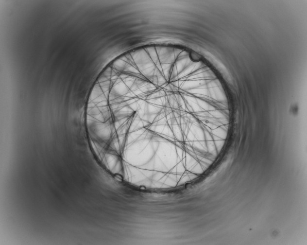 X0000103131281200809191932