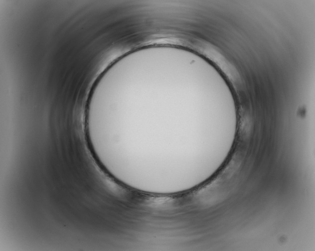 X0000103131282200809191932