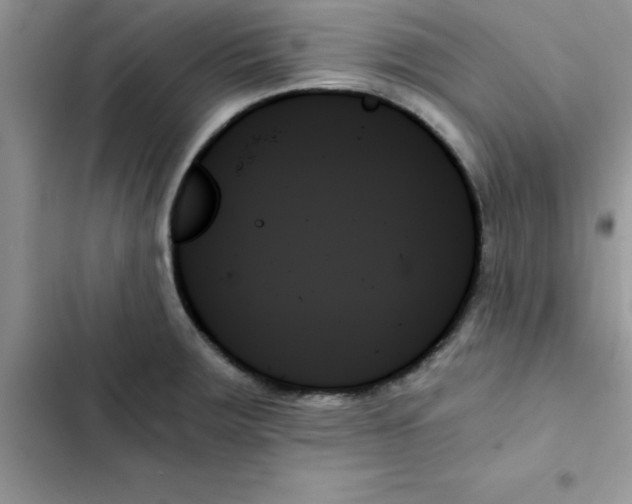 X0000103131283200809191932