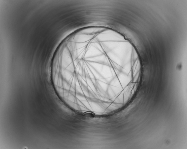 X0000103131284200809191932