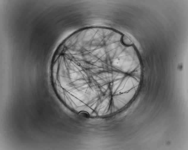 X0000103131285200809191932