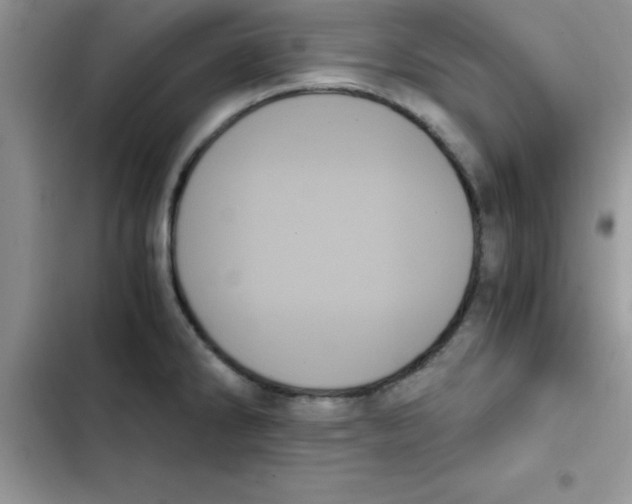 X0000103131286200809191932
