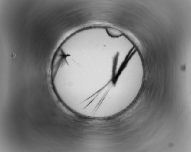 X0000103131287200809191932