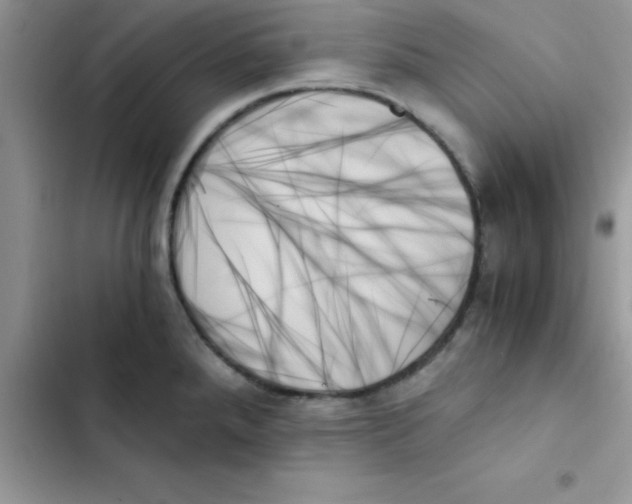 X0000103131288200809191932