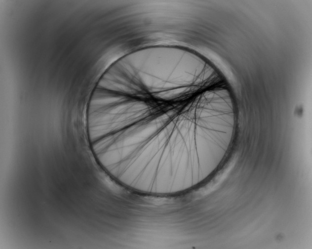 X0000103131289200809191932
