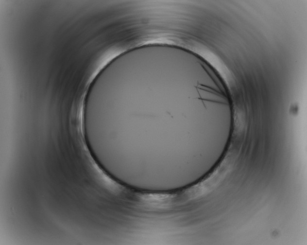 X0000103131290200809191932