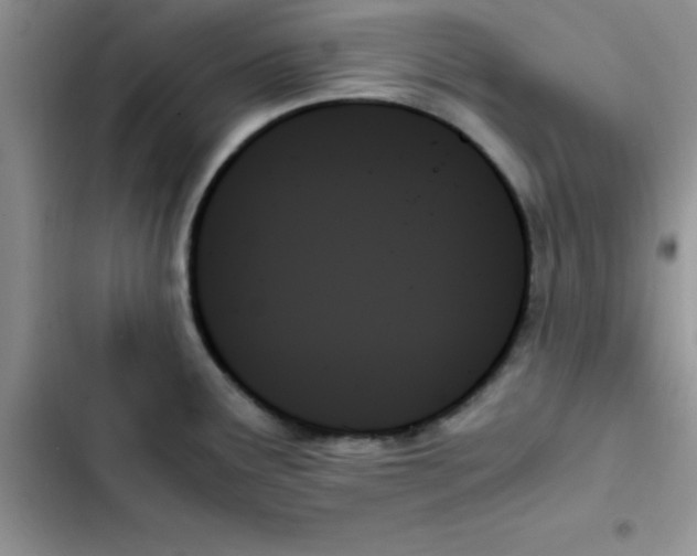 X0000103131291200809191932