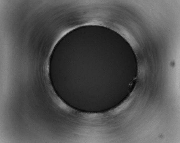 X0000103131292200809191932