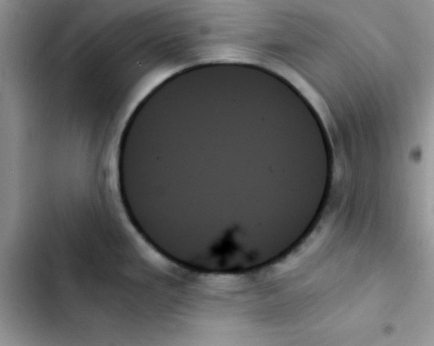 X0000103131293200809191932