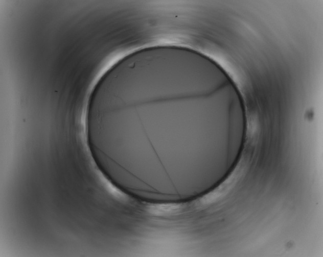 X0000103131294200809191932