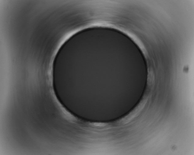 X0000103131295200809191932