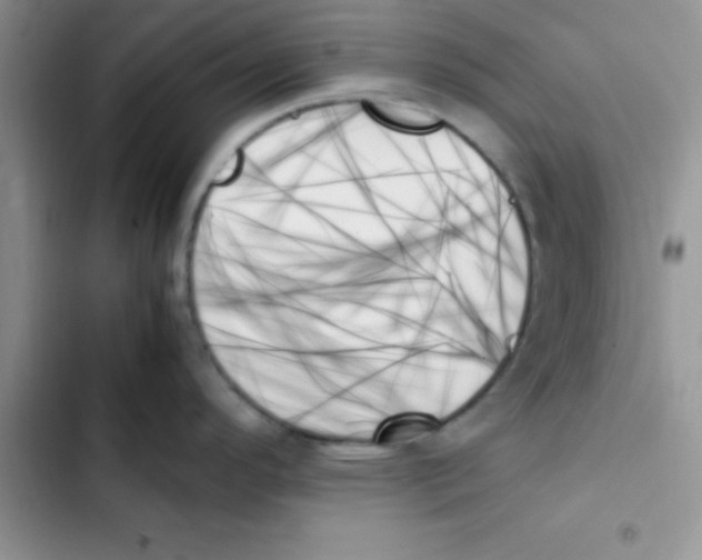 X0000103131296200809191932
