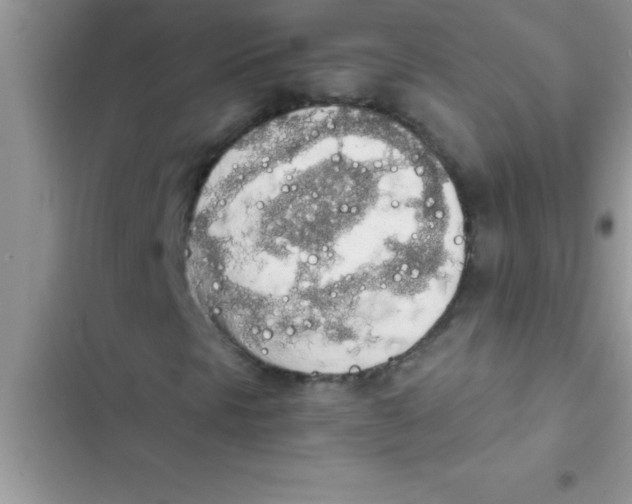 X0000103131297200809191931