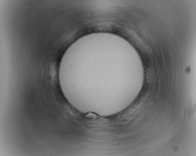 X0000103131298200809191931