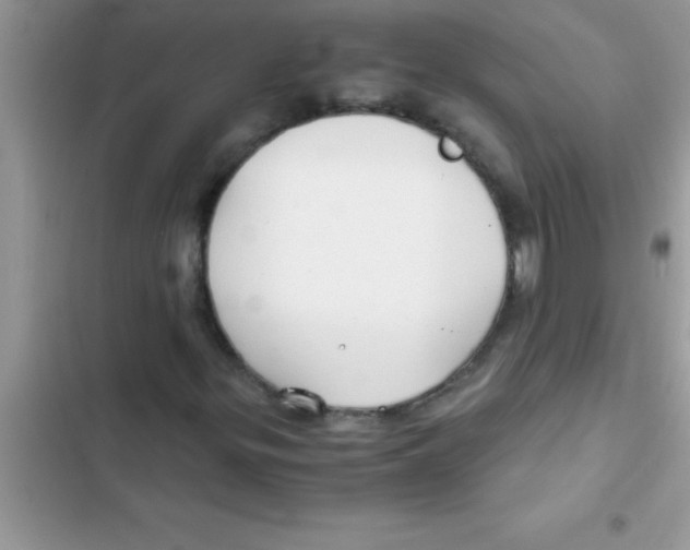 X0000103131299200809191931