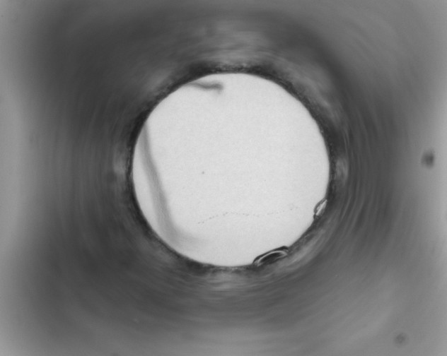X0000103131300200809191931
