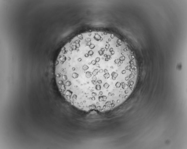 X0000103131301200809191931