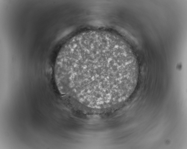 X0000103131302200809191931