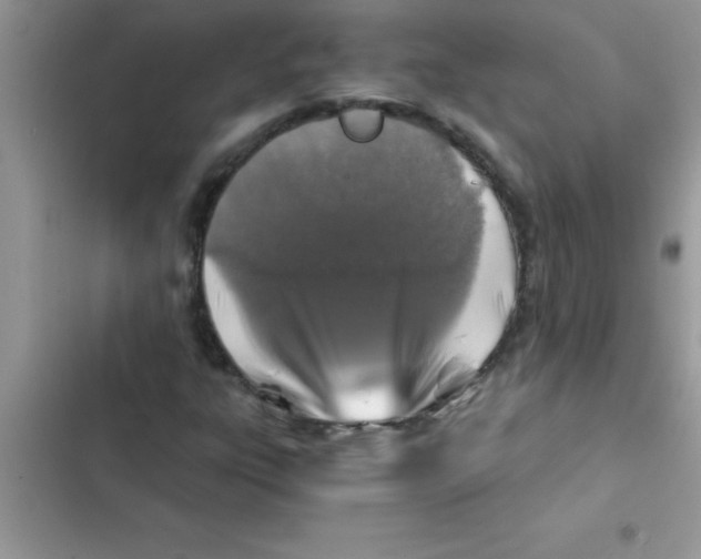 X0000103131303200809191931