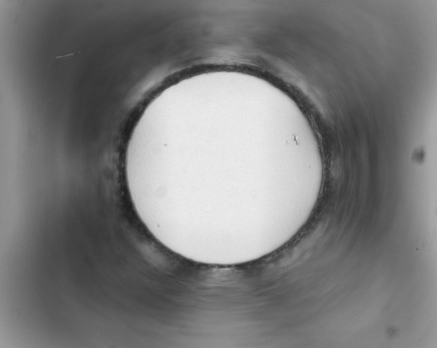 X0000103131304200809191931